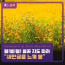 새만금공인중개사사무소 이미지