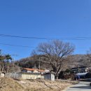 도원2리(마장) 네이버블로그