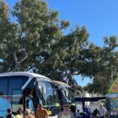 신기마을버스 정류장 이미지