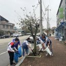 청소농업협동조합 이미지