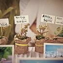 환경과지역