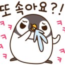 마산부림시장 이미지