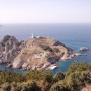 선진농산 Daum카페