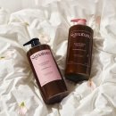 아리따운 이미지