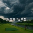 도솔광장 잔디광장 이미지