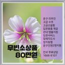 성심장례서비스 이미지