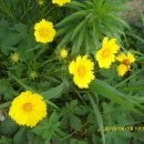 중봉민박 이미지