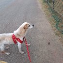 계룡목장 이미지