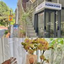 [강남/꽃집]식목플라워에서 어버이날 달항아리 호접난 화분 선물용으로 최고- Sikmok flower(내돈내산)
