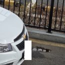 공임나라 만수점 | 냉각수(부동액) 누수로 인한 긴급 견인