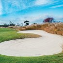 송호목장 이미지