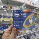 행운약국 이미지