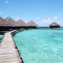 골드스푼애견풀빌라 | 골드스푼애견풀빌라 경기도 펜션, 여기를 놓치면 후회할 걸?