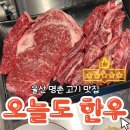 2388 | 울산 명촌고기집 추천, 고기맛집의 정석 오늘도 한우 울산명촌점 방문 후기