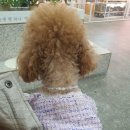 앙쥬레브 부천점 네이버블로그