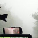 벌교주유소 이미지