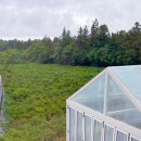 제주돌집 한동두동 이미지