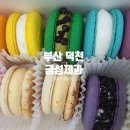 금성제과 이미지