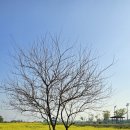 바다공원 이미지