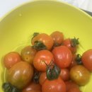 몽브살롱 이미지