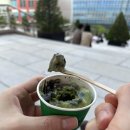 아이고운몰