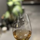 노박 | 샴페인 추천, 샴페인 노박(Domaine Nowack) 테레스 블뢰 시음 후기 | 춘천 와인바 르몽라셰