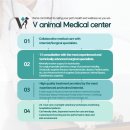 신제주동물병원 이미지