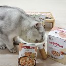 더 스튜 이미지