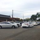 악양뚝방오리 이미지