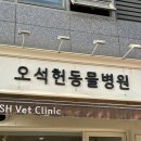 오석헌동물병원 이미지