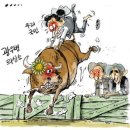 로데오 이미지