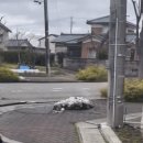 이번 일본 지진에 촬영된 보도블럭 상황 이미지