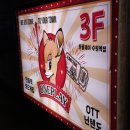 [수원 수원역]거북이도있고 초대형폭포가있는 수원역이색데이트 원플레이 후기,가격,정보 시간순삭...