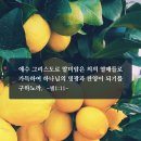 구절