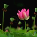 떠나자~세계로 이미지