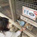 장암카서비스 | [포천]1박 2일 촌캉스 국내여행 샘물농장 (+ 이동갈비 꿀팁)