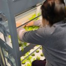 초록빛하루 이미지