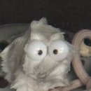 송대말펜션A 이미지