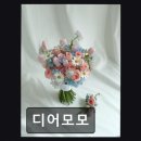디어모모