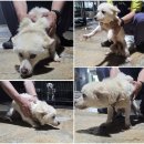 도장포길 이미지