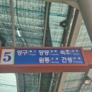 시외버스터미널 페달로옆 | 속초 시외버스터미널 근처 파티없는 대신 조식 있는 휘테게스트하우스 추천