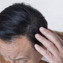 궁물 이미지