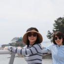 정인목장 이미지