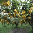 희망농장 이미지