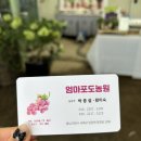 대가포도농원 | 천안 포도 내돈내산_엄마포도농원_입장면 최고 품질의 포도농원