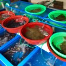 닥터리베라 이미지