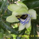 블루스카이 이미지