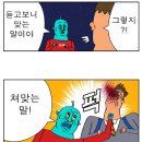 래빗홀