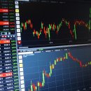 주식회사 스카이팜 이미지