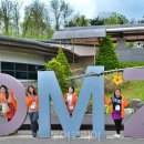 필승카서비스 이미지